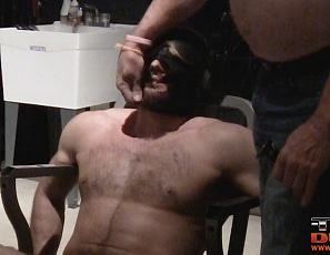 Joe Ox Takes The Chair